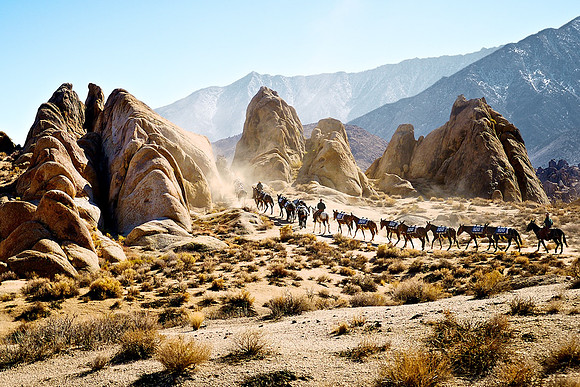 Mule Train Winds through the Alabama Hills outside Lone Pine, California - 2013