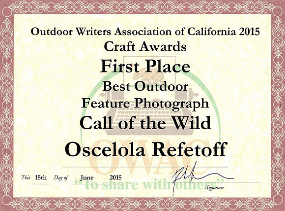 OWAC – Best Outdoor Feature Photograph – June 2015