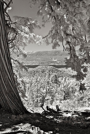 Big Bear Lake Vista from Pacific Crest Trail ­– Infrared Exposure – 2015