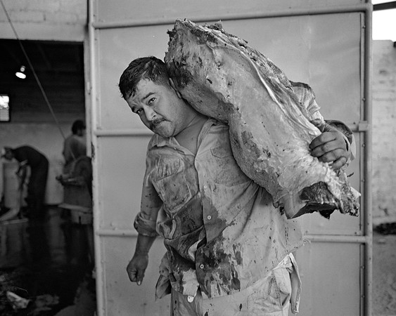 On the Scale – Plaza de Toros 'El Toreo' – Tijuana, Mexico – 1998