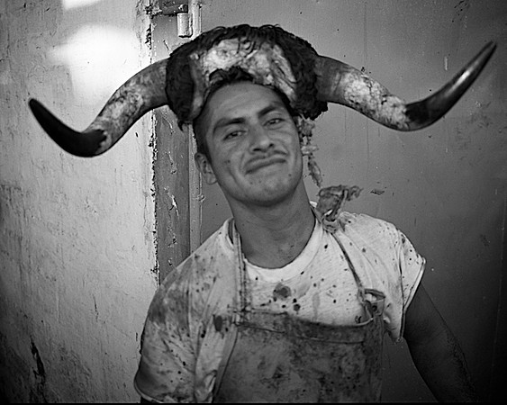 Horns on Head – Plaza de Toros 'El Toreo' – Tijuana, Mexico – 1998
