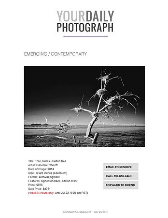 Your Daily Photograph – Contest Winner: Emerging/Contemporary – July 2016