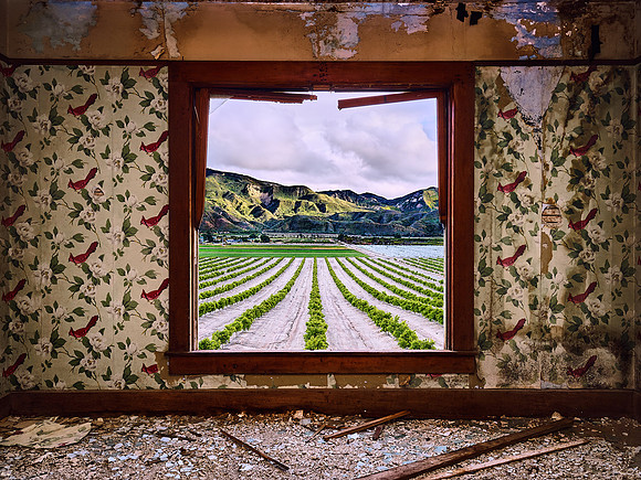 How Green Was My Desert – Buckhorn, California – 2019