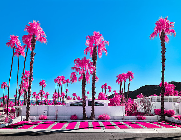 Owners and Guests (Pink/Blue) – Multispectral Exposure – Palm Springs, California – 2023