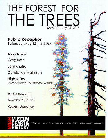 Artillery Magazine – Museum of Art & History (MOAH) – The Forest for the Trees – May 2018