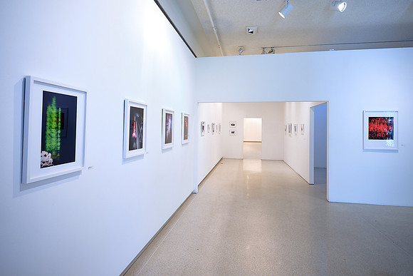 Pinhole Documenation: Blind Courier - Brand Library & Art Center - Glendale, CA - June-August 2019