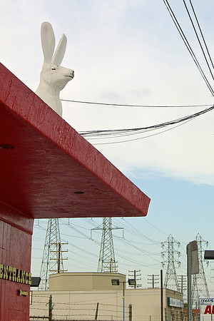 Bellflower Bunny – Bellflower, California – 2005