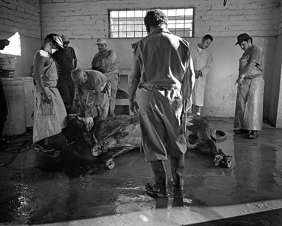 Blood-Soaked Floor - Plaza de Toros 'El Toreo' - Tijuana, Mexico - 1998