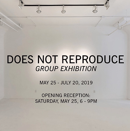 Von Lintel Gallery – Does Not Reproduce – May-Jul 2019