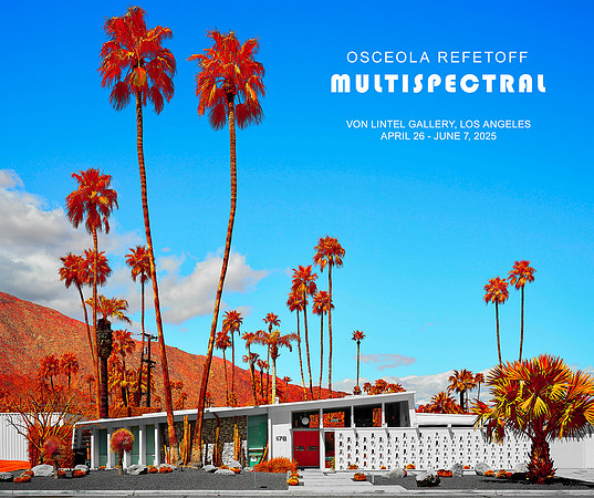 "Multispectral" at Von Lintel Gallery April 26-June 7, 2025