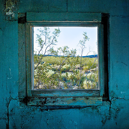 Window with Creosote Bush – Dunmovin, California – 2010