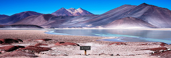 Conexiones distantes: No pasar – Cartel en espacio público (Billboard) – Bienal SACO – Antofagasta, Chile – 2025